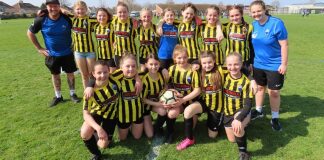 Burnham-On-Sea Burnbridge Wanderers