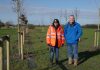 National Grid celebrates 2000th tree planted on Hinkley Connection Project