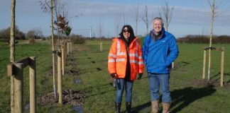 National Grid celebrates 2000th tree planted on Hinkley Connection Project