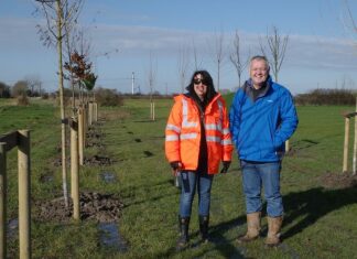 National Grid celebrates 2000th tree planted on Hinkley Connection Project