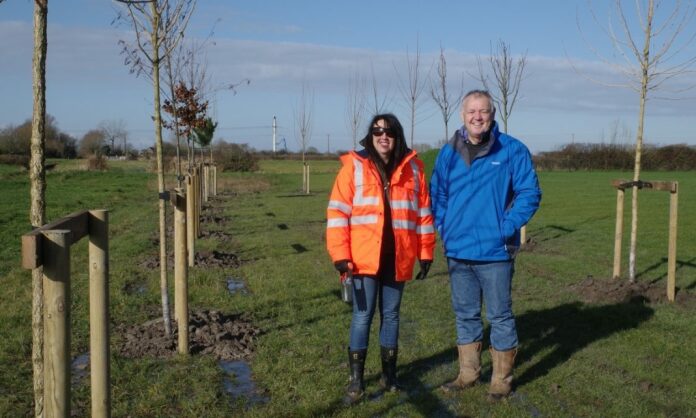 National Grid celebrates 2000th tree planted on Hinkley Connection Project