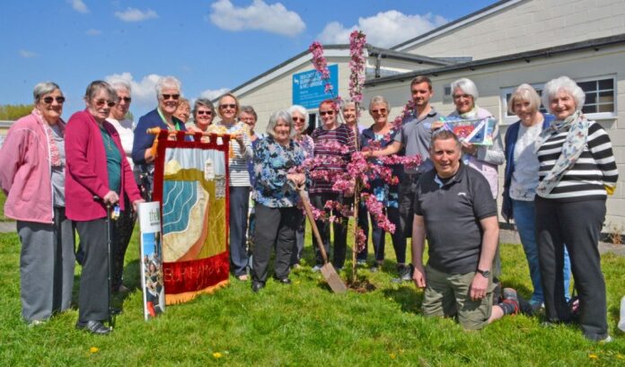 Burnham-On-Sea Womens Institute unveils new tree to mark The Queen's Jubilee