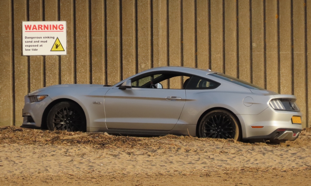 Mustang rescue on Burnham-On-Sea beach 