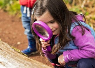 Somerset Wildlife Trust’s Wildlife Watch Club will be held at Highbridge's Apex Park this Sunday (10th April) between 2-4pm.