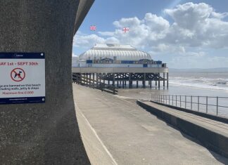 Burnham-On-Sea dog walking signs on sea wall