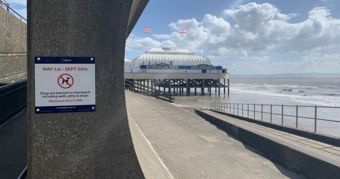 Burnham-On-Sea dog walking signs on sea wall