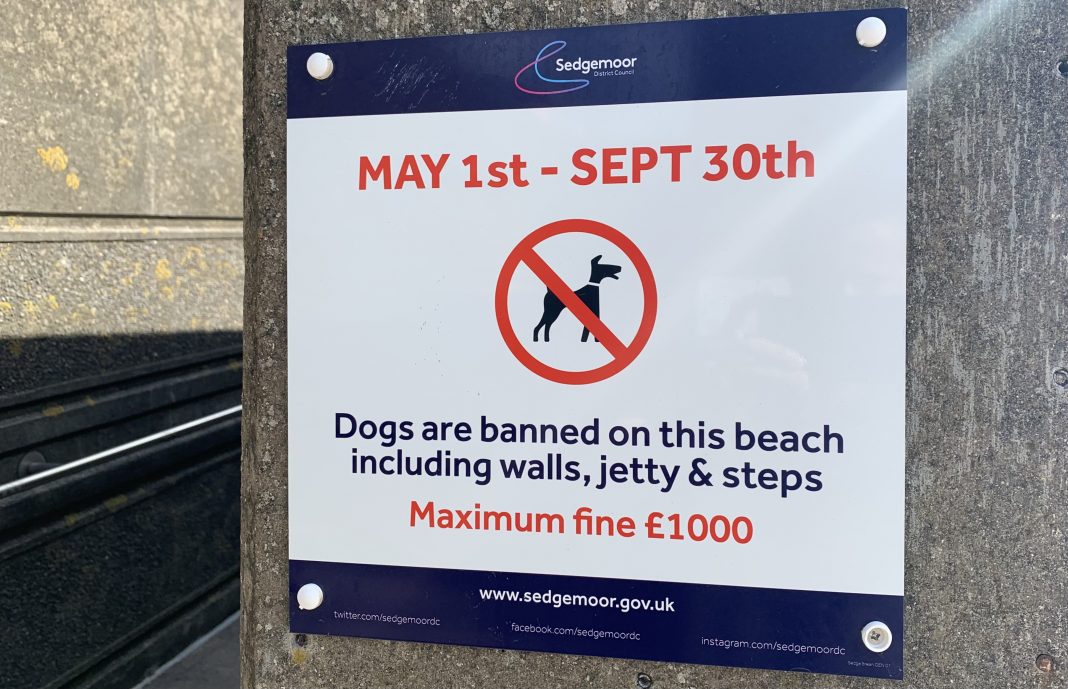 Burnham-On-Sea dog walking signs on sea wall