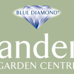 Blue Diamond- Sanders Garden Cemtre