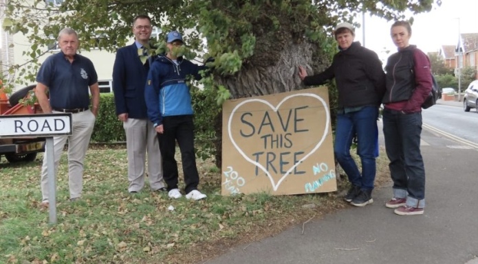 Burnham-On-Sea residents campaign to save rare black Poplar tree