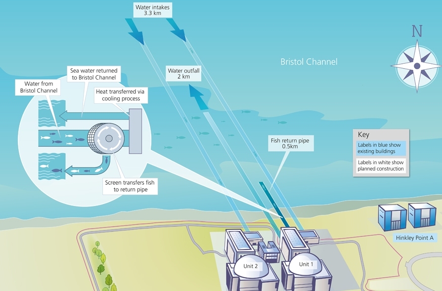 fish protection measures at Hinkley Point C