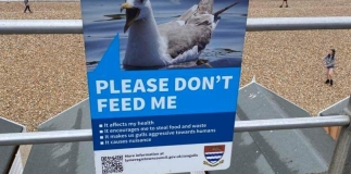 do not feed seagulls sign