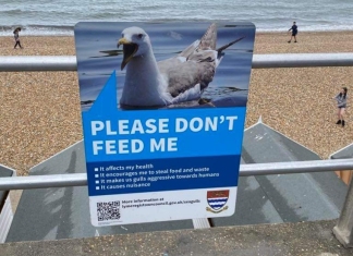 do not feed seagulls sign