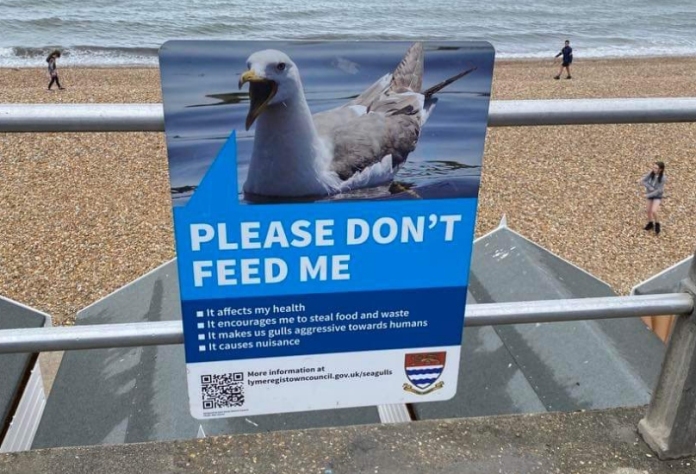 do not feed seagulls sign