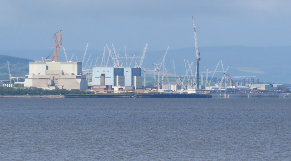 Have your say on plans to abandon acoustic fish deterrents at Hinkley Point C