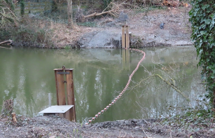 VIDEO: Hundreds of fish netted and moved by fishery experts at