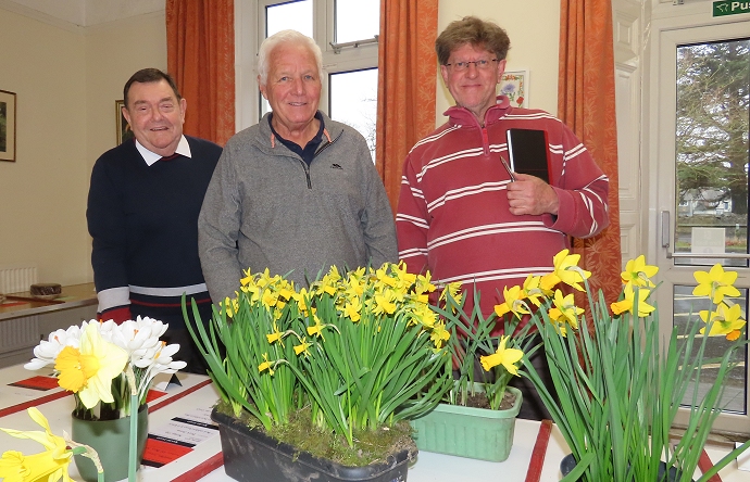 Burnham-On-Sea Spring Flower Show