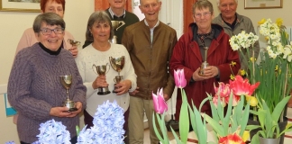 Burnham-On-Sea Spring Flower Show