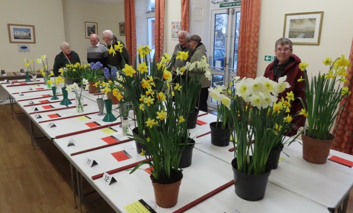 Burnham-On-Sea Spring Flower Show