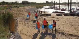 Friends of Burnham Beach litter pick in Burnham-On-Sea