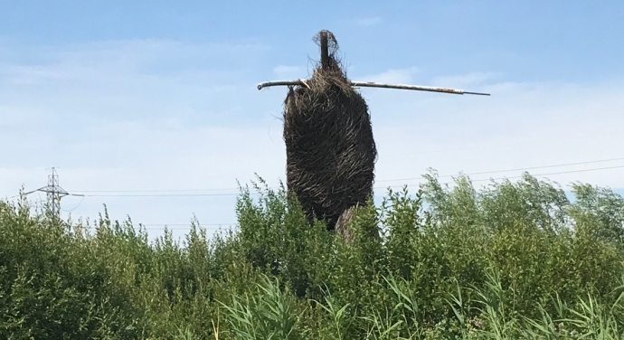 Willow Man sculpture next to the M5 in Somerset
