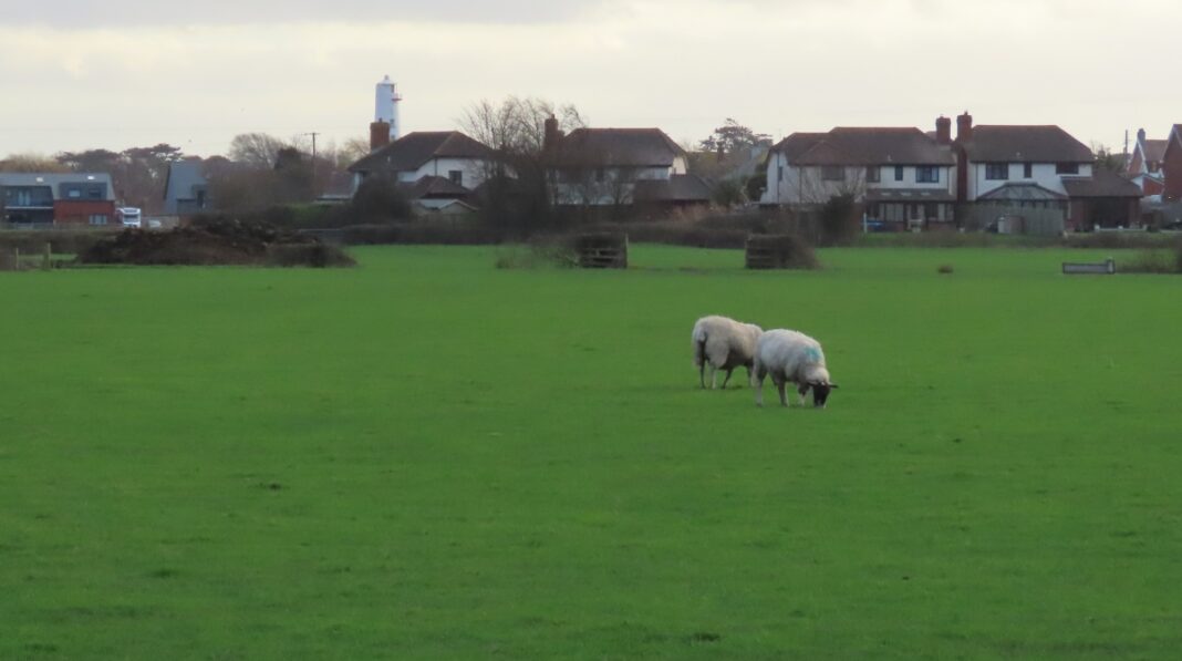 2000 new hoems planned for fields in Burnham-On-Sea