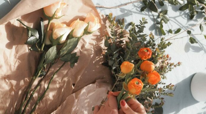 person holding orange fruit near green leaves